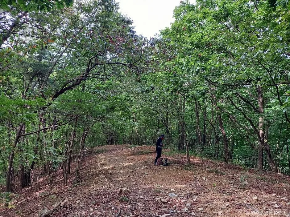 완주_만덕산 (3)