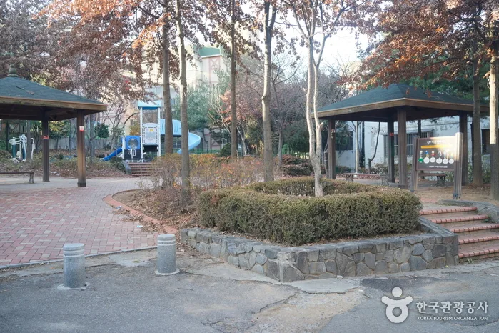 무장애_인천_인천신현동 회화나무09