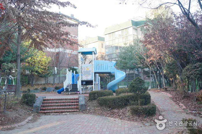 무장애_인천_인천신현동 회화나무12
