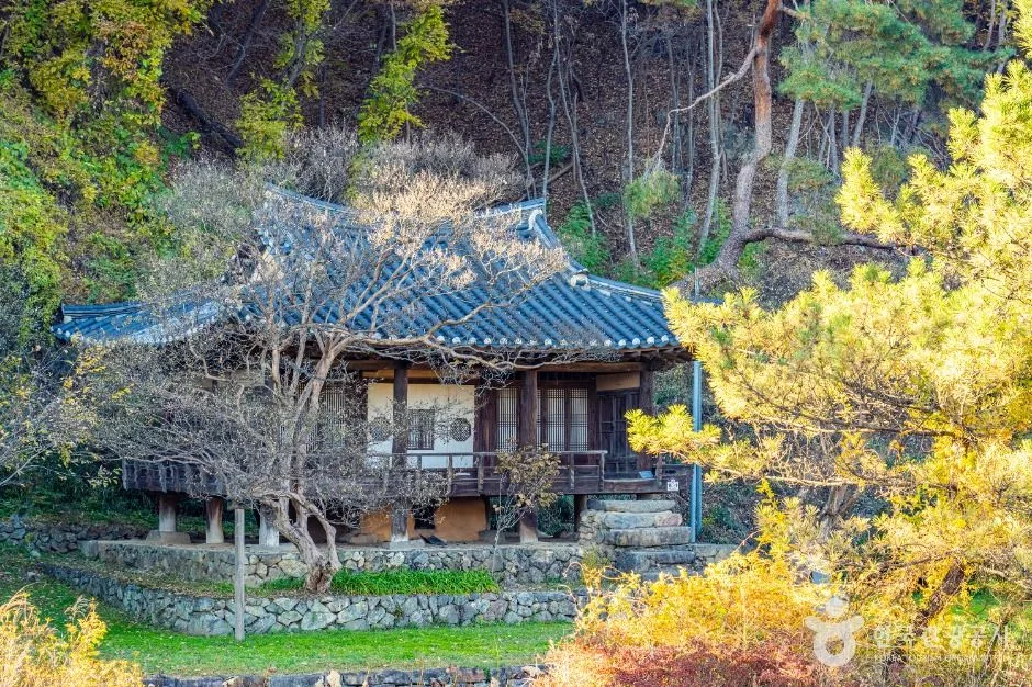 안동_체화정 (1)
