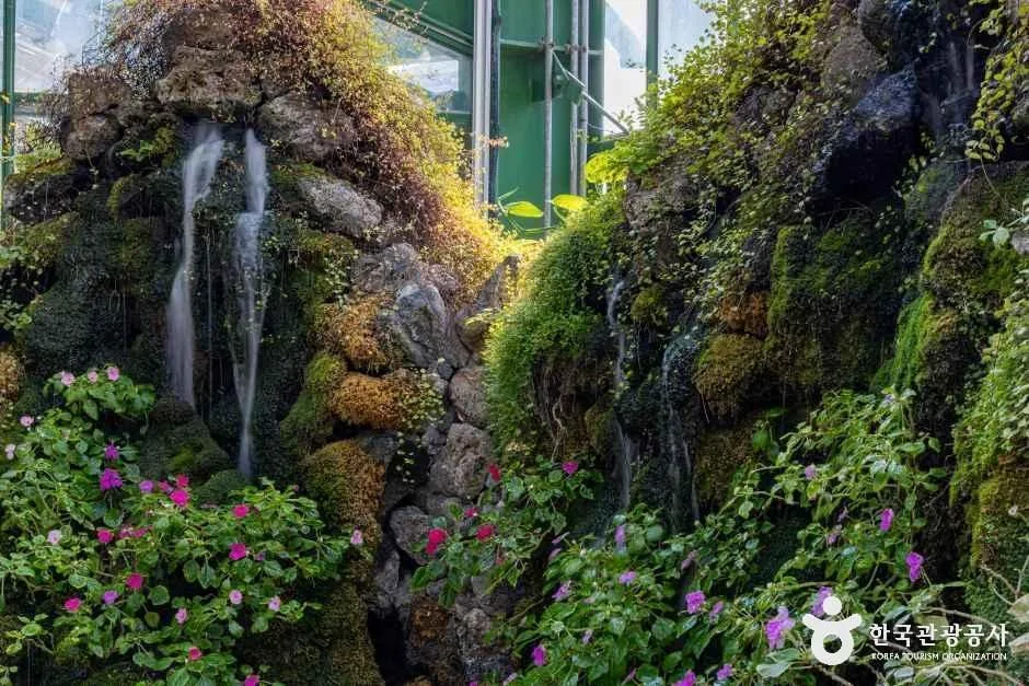 인천_인천환경공단 청라생태공원 (6).jpg