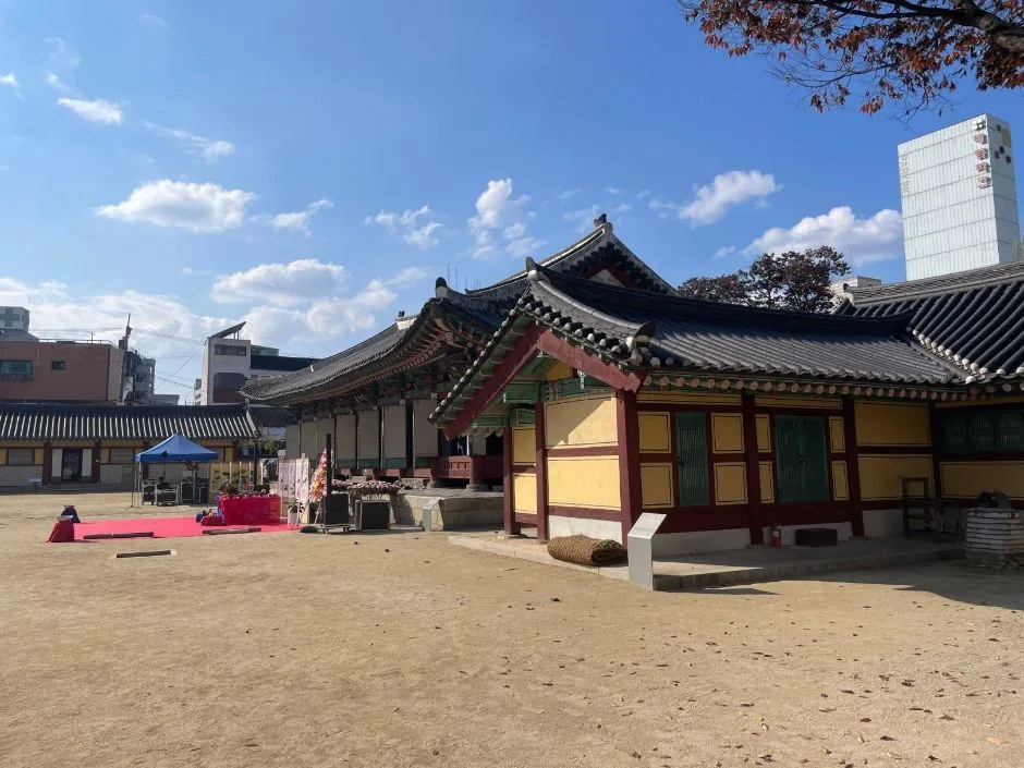 강원_원주_강원감영_외부(느티나무)_14.jpg