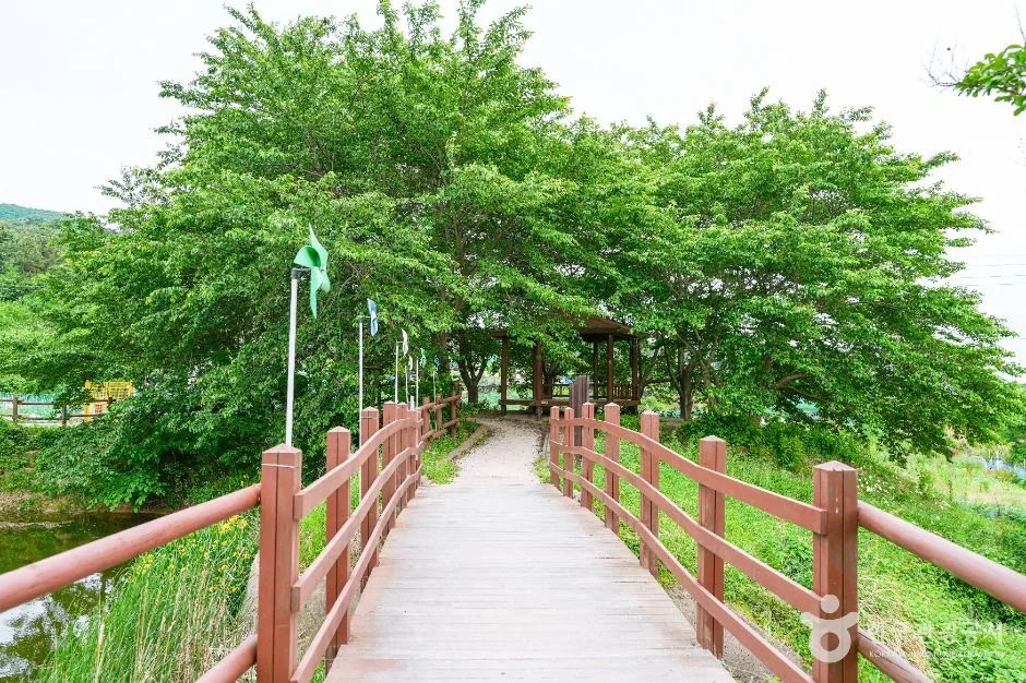 울산_화동못수변공원 (5)