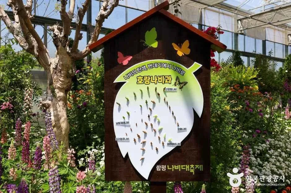 함평엑스포공원 (6)