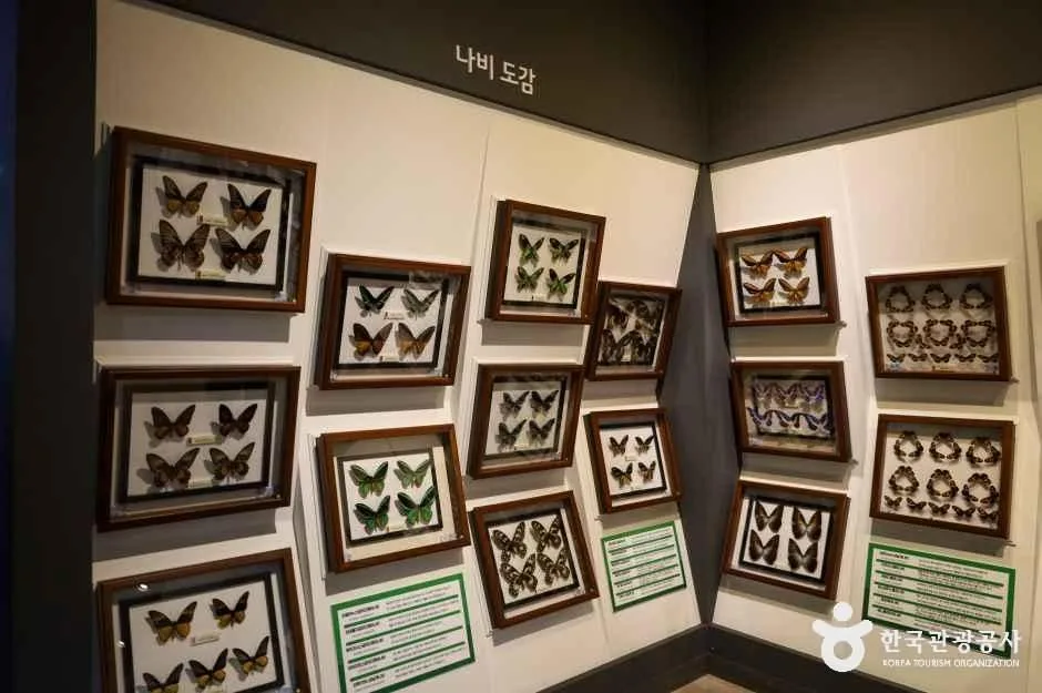 함평엑스포공원 (29)