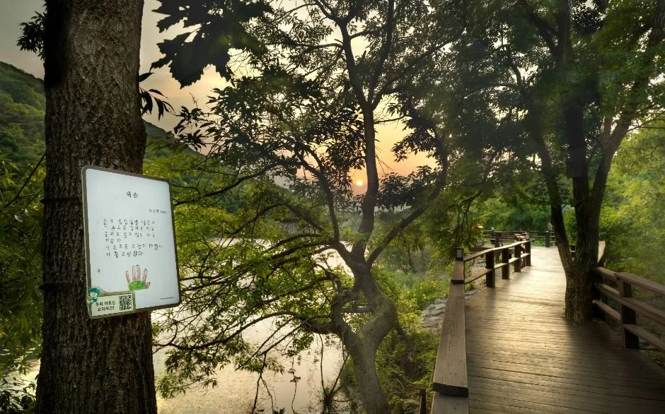 칠곡_국립칠곡숲체원 (5)