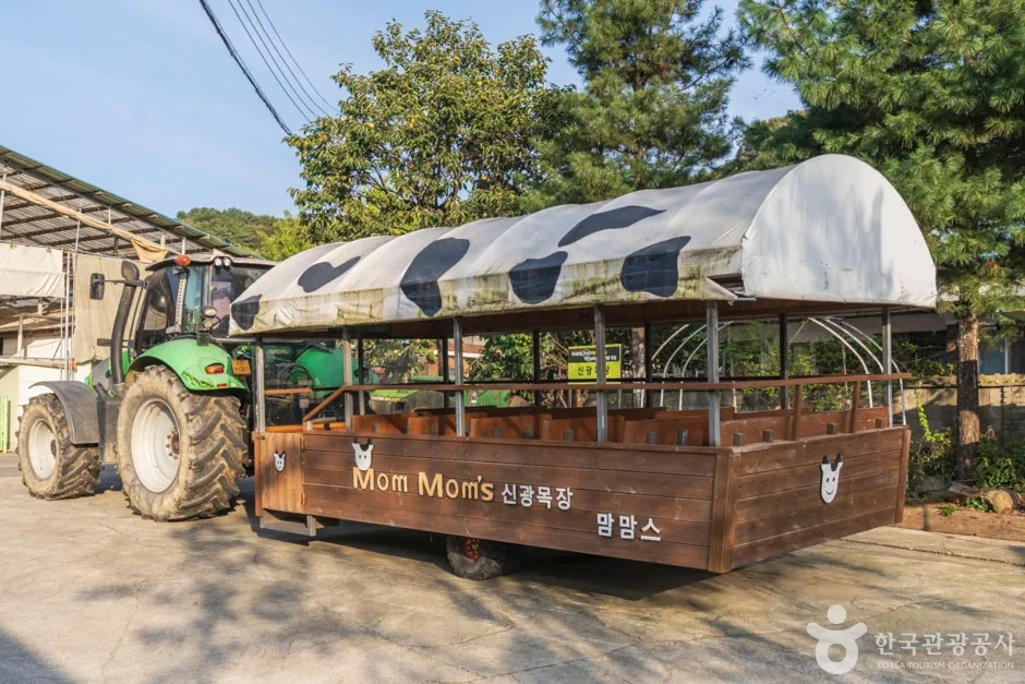 맘맘스 (8)