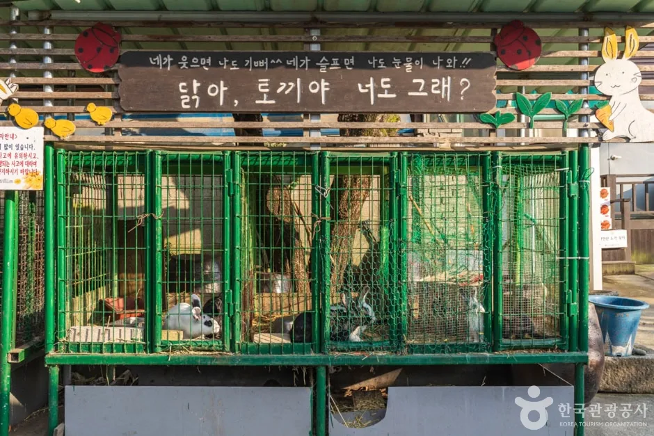 맘맘스 (9)