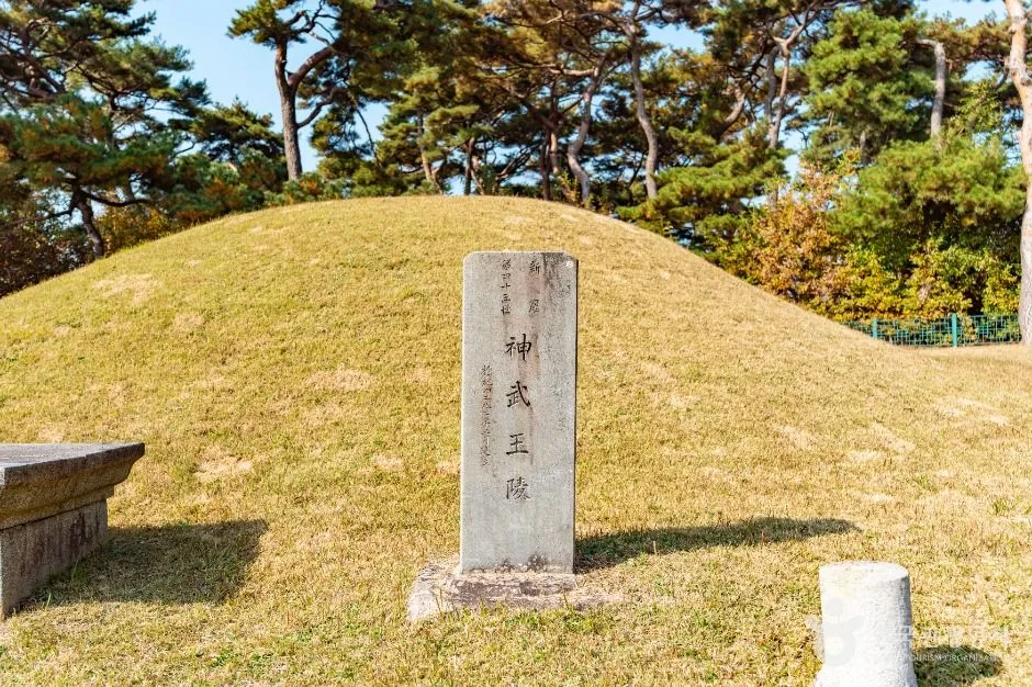 경주_경주 신무왕릉 (3)