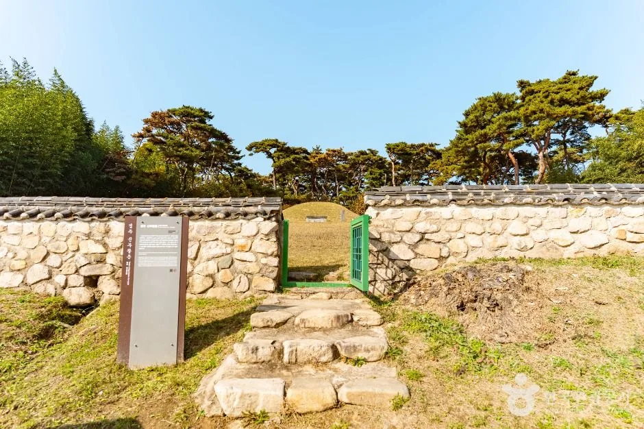 경주_경주 신무왕릉 (5)