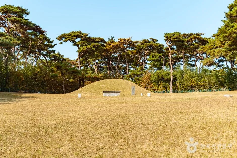 경주_경주 신무왕릉 (1)