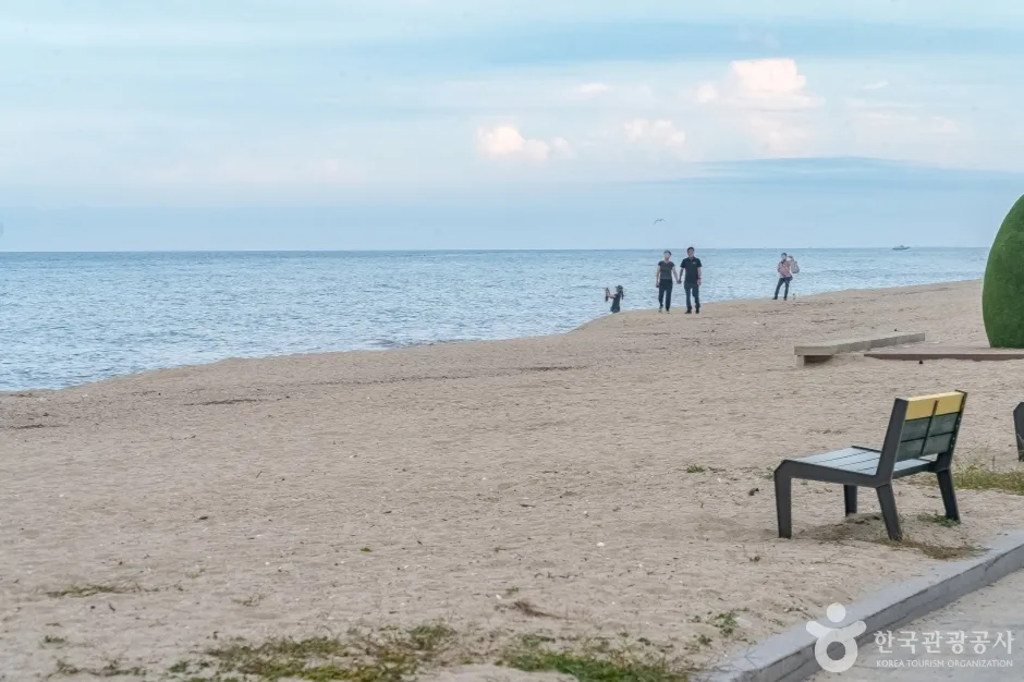 연곡해변(연곡해수욕장) (18)
