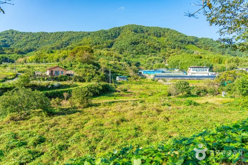 하동_궁항마을 (4)