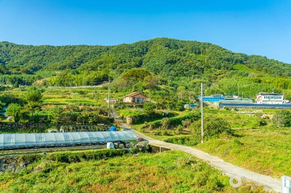 하동_궁항마을 (7)