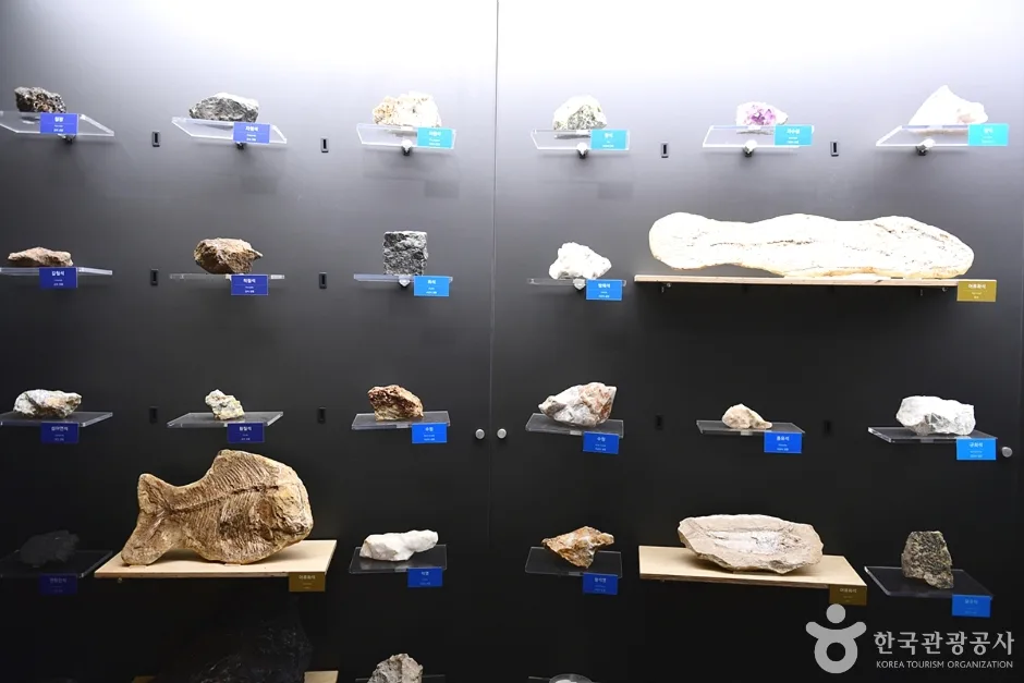 전남_장성_전라남도교육청 자연탐구원 (27)