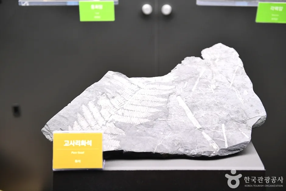전남_장성_전라남도교육청 자연탐구원 (25)