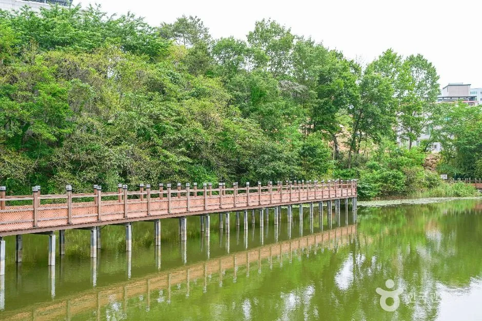 울산_성안숯못생태공원 (3)