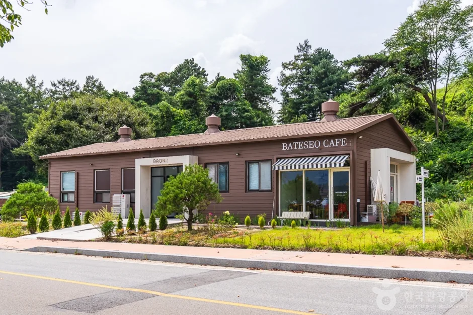 충북_청주_진희네딸기(10)