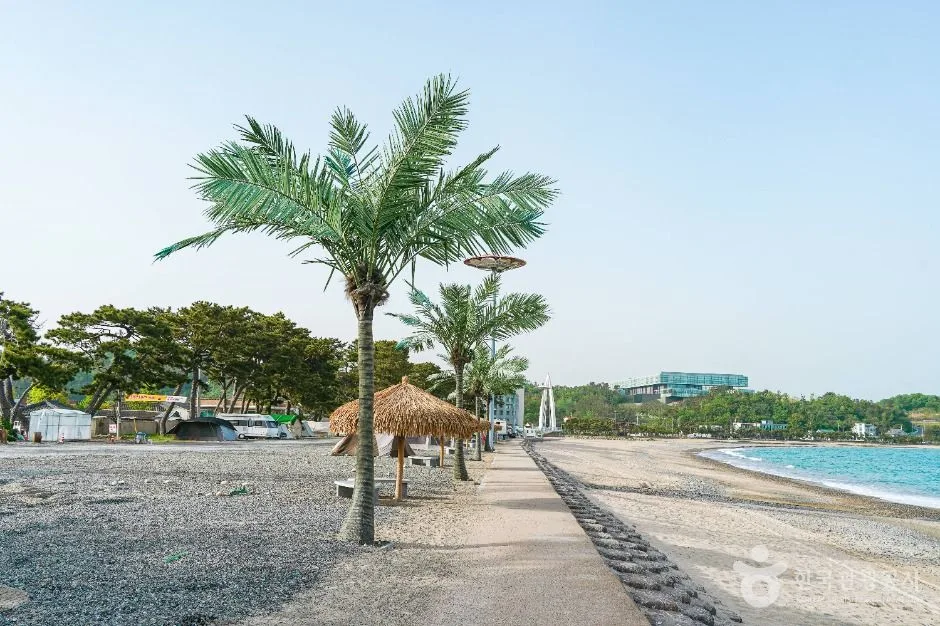 경주_관성솔밭해변 (2)