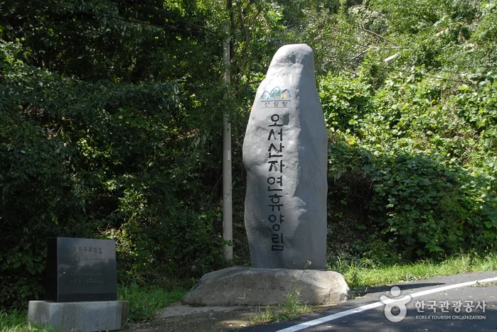 보령_국립오서산자연휴양림 (6).jpg