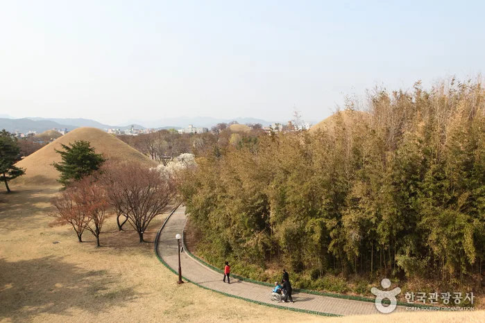 왕에게 가다