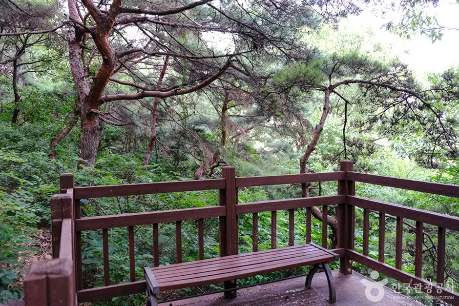 천마근린공원 (8)