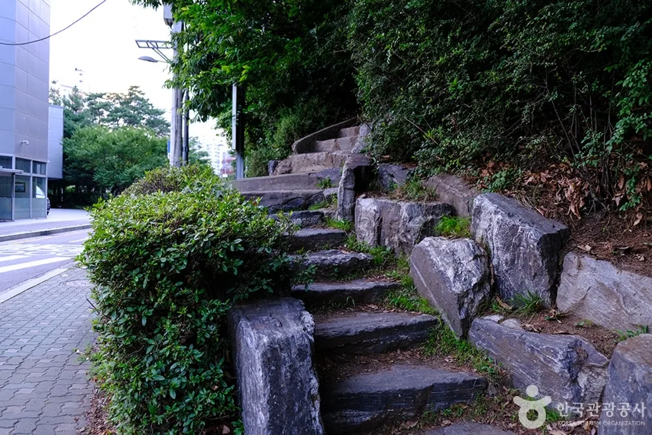 천마근린공원 (5)