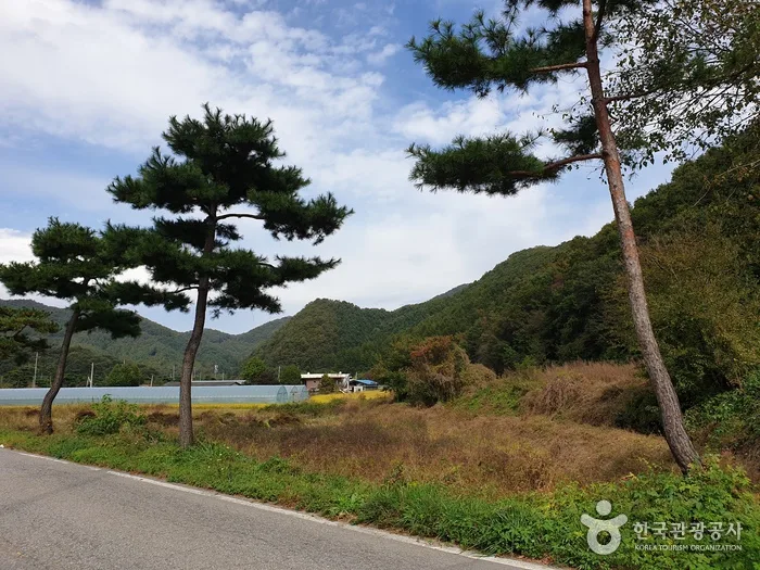 경기_양평군_양평 마들가리마을 (1).jpg