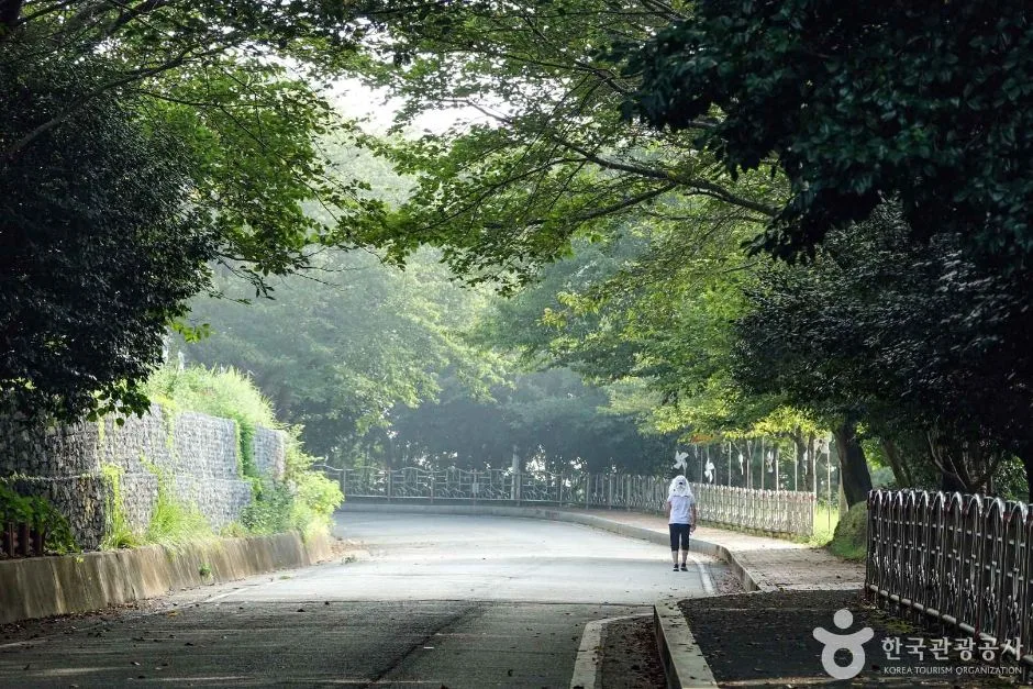 장승포 해안일주도로 (4)