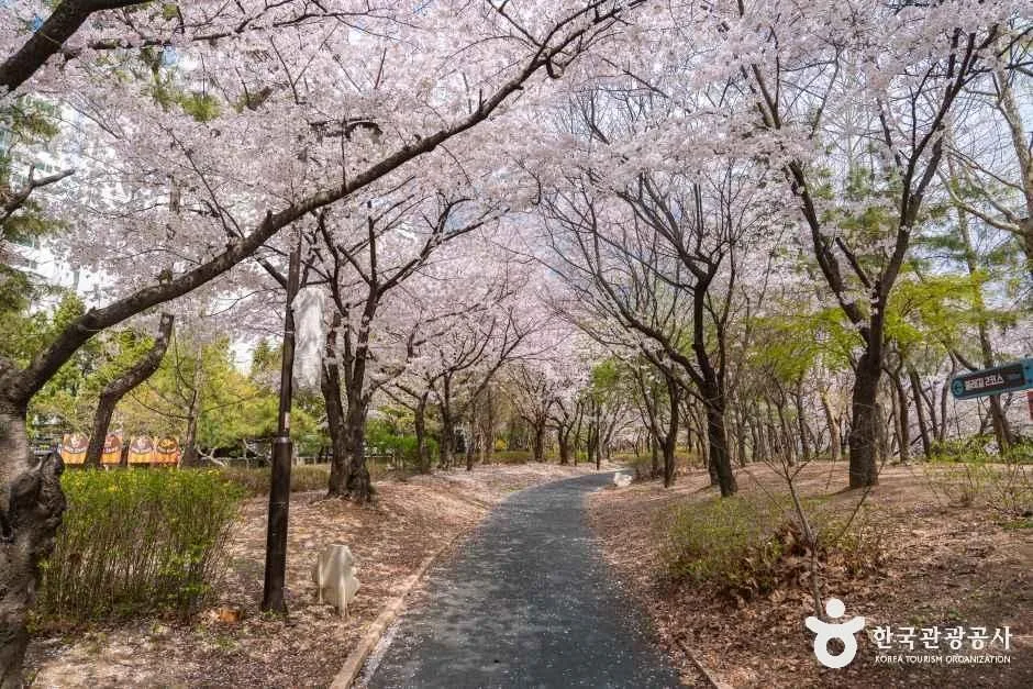 인천_반월놀이공원_외부_1.jpg