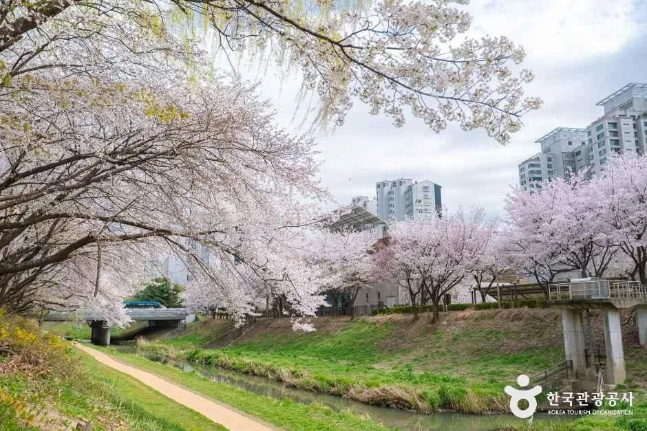 인천_반월놀이공원_외부_4.jpg