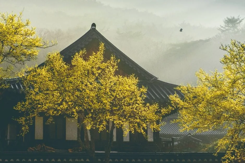 순천_송광사(순천) (3)