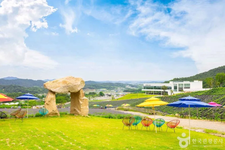허브원 (7)