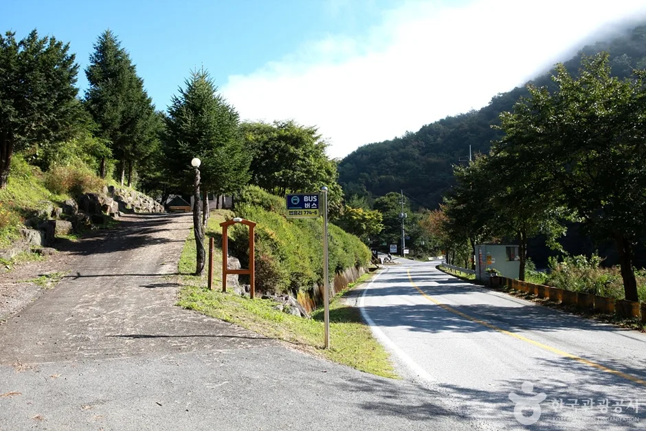 법흥계곡 (11)