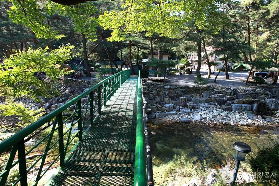법흥계곡 (6)