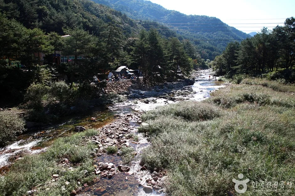 법흥계곡 (12)