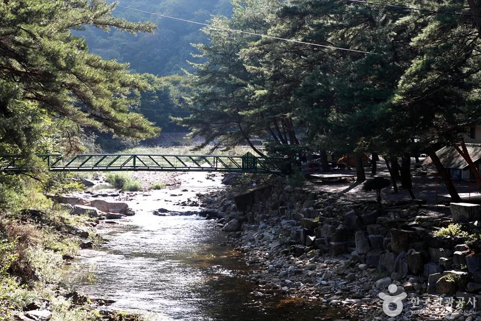 법흥계곡 (16)