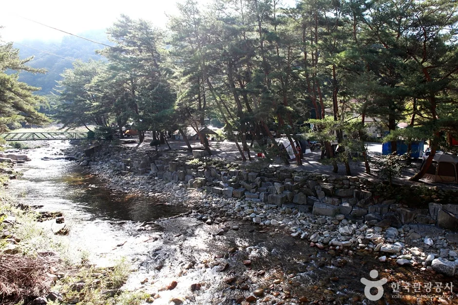 법흥계곡 (4)