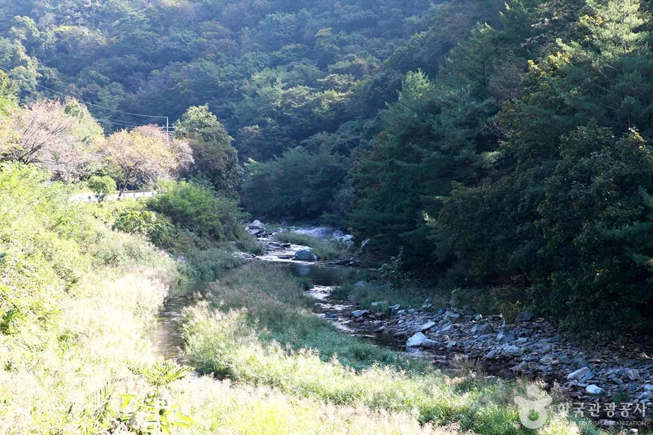 법흥계곡 (14)