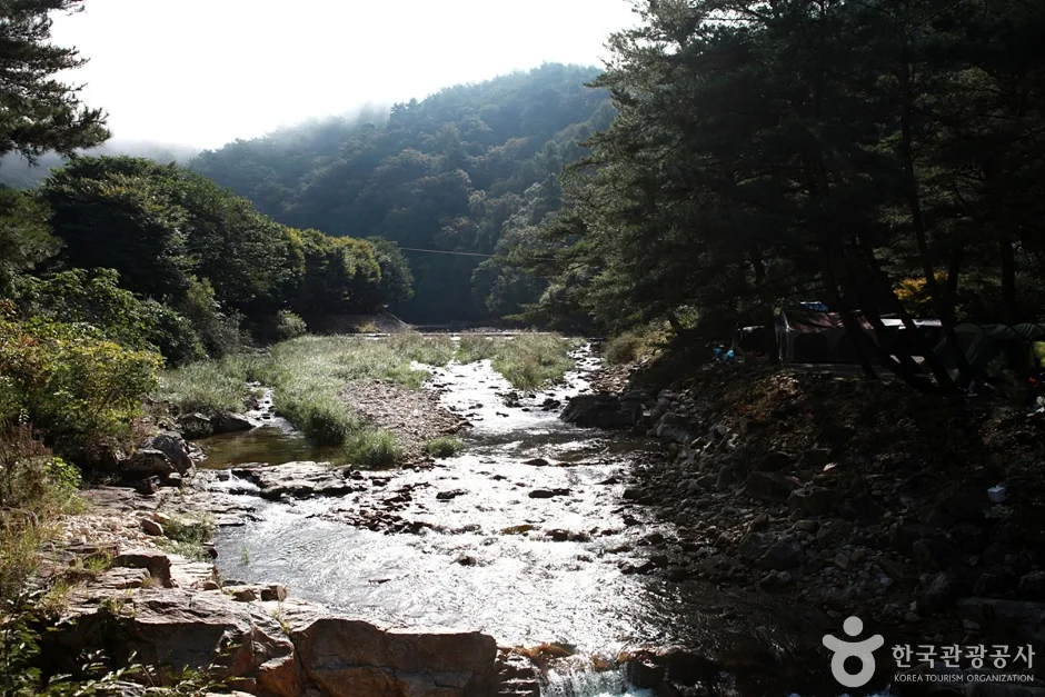 법흥계곡 (7)