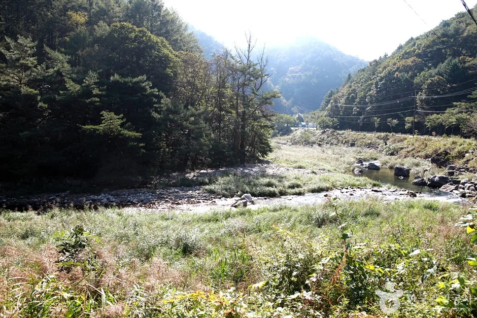 법흥계곡 (13)