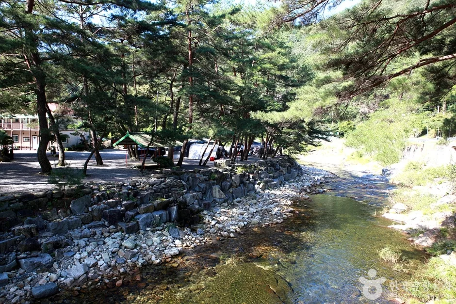 법흥계곡 (10)