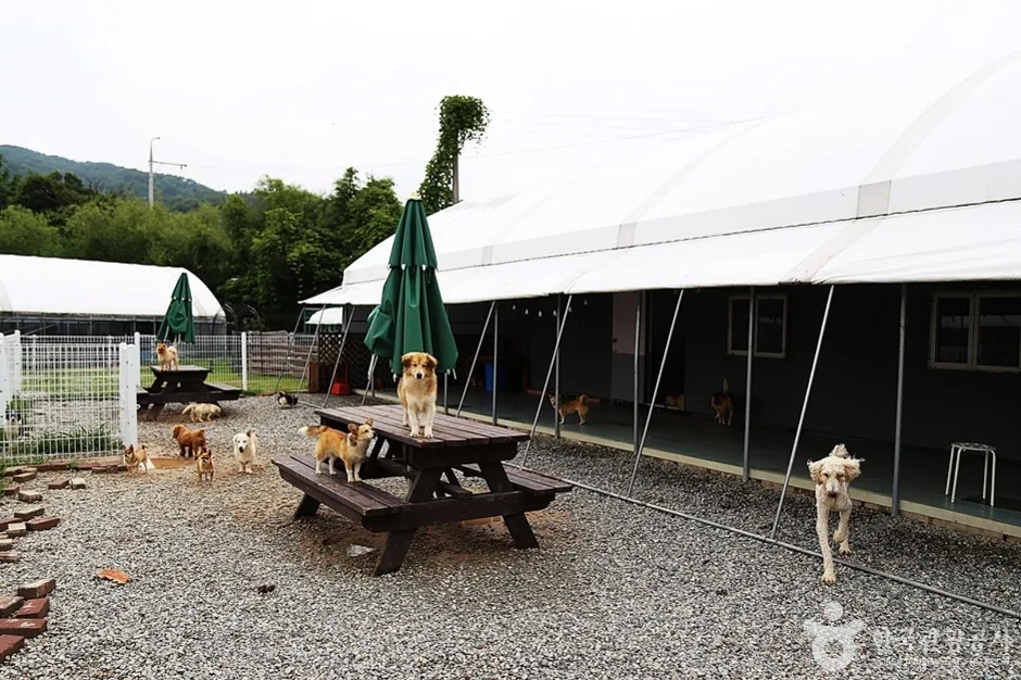 주주팜 동물농장 (10)
