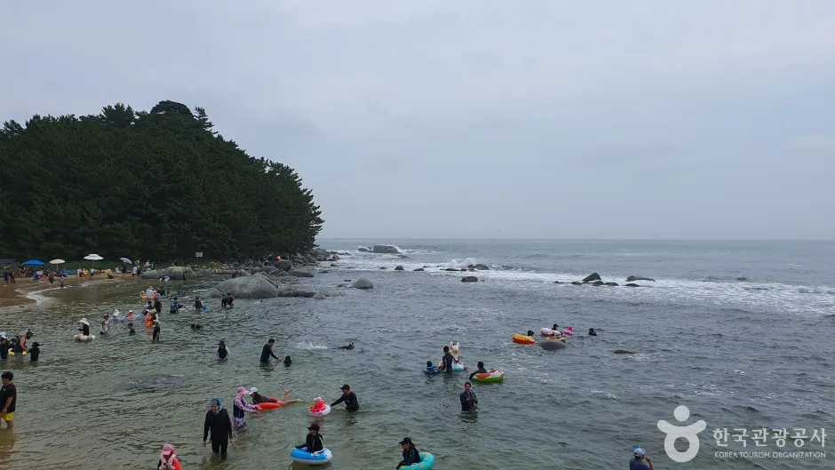 마차진해변