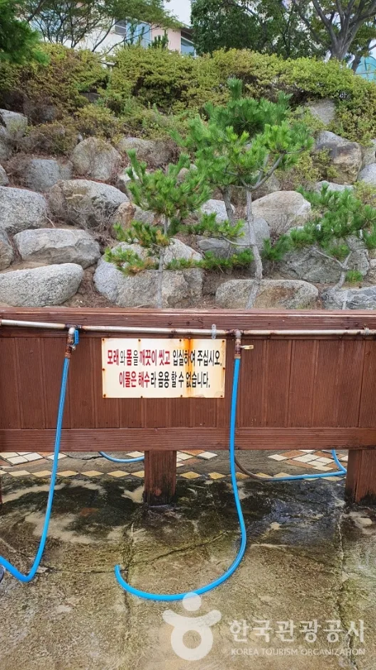 마차진해변 (4)