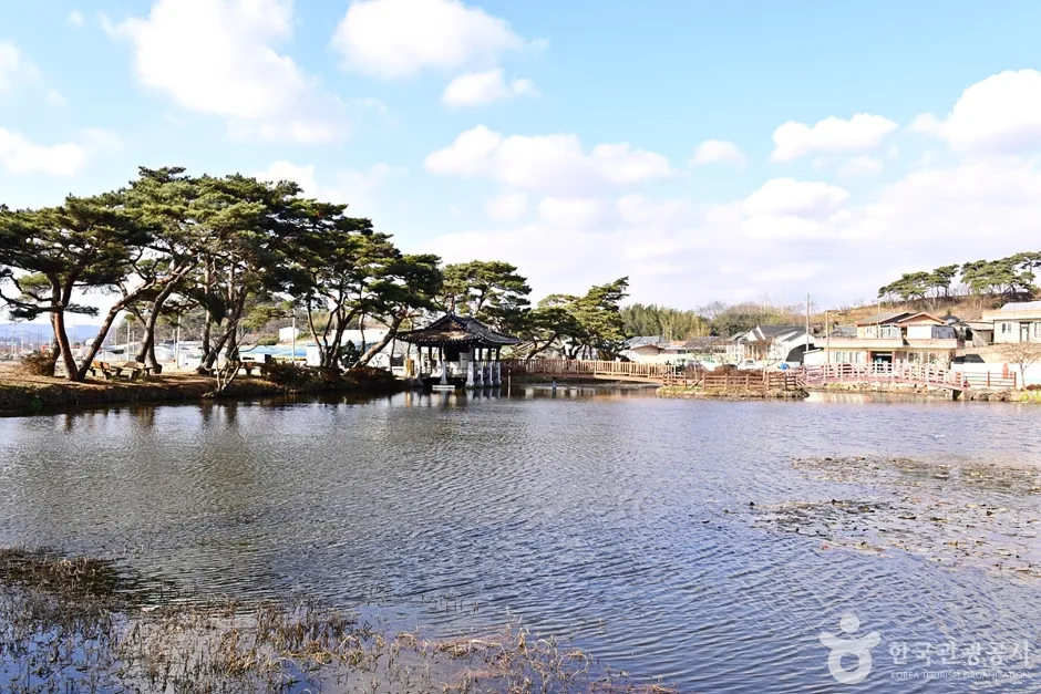 전남_함평_원곡제 (8)