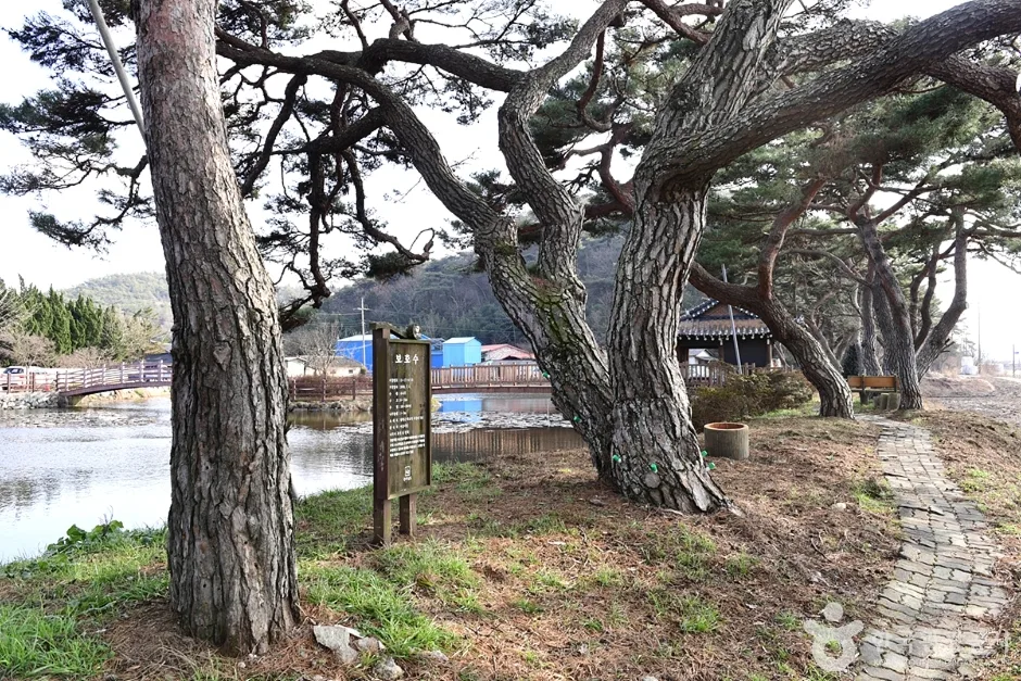 전남_함평_원곡제 (2)