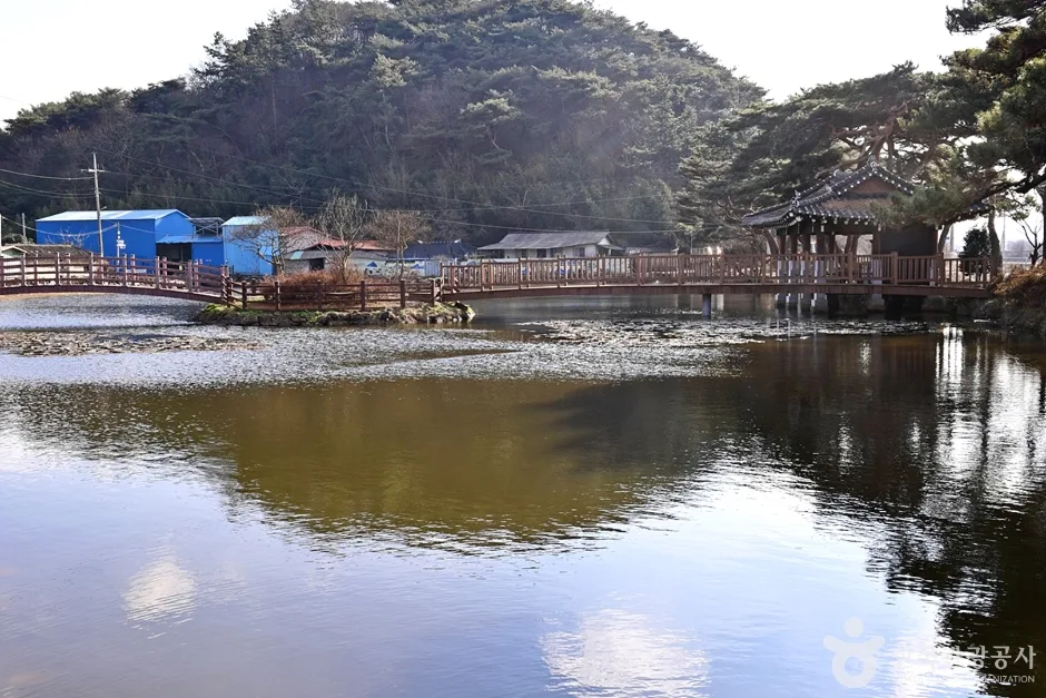 전남_함평_원곡제 (4)