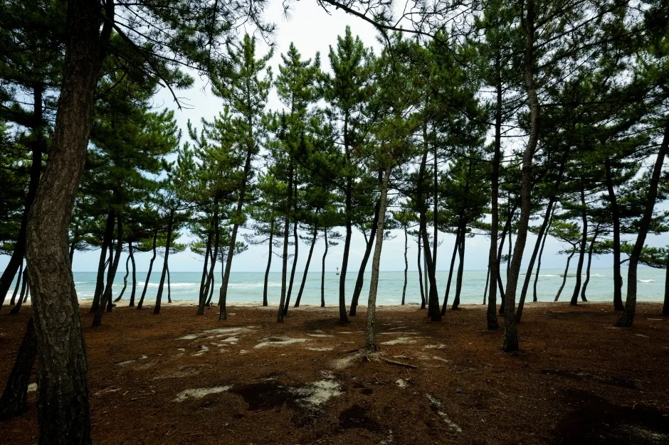 강릉시_순포해변 (5).jpg