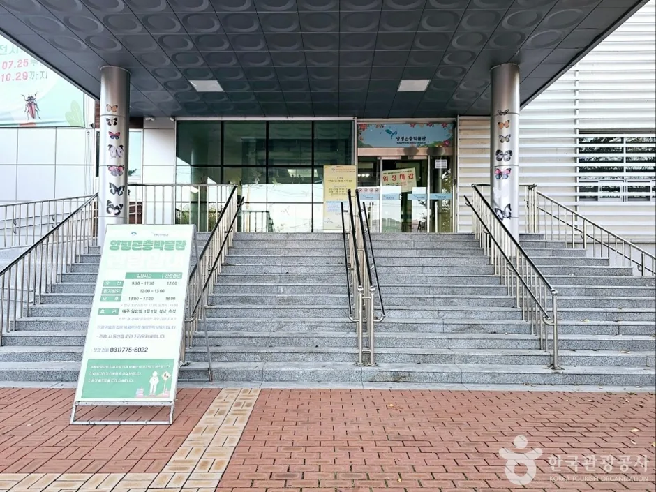 양평_양평곤충박물관 (5).jpg